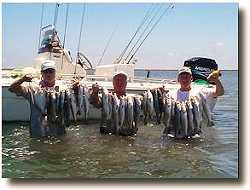 Bayshore Sportfishing